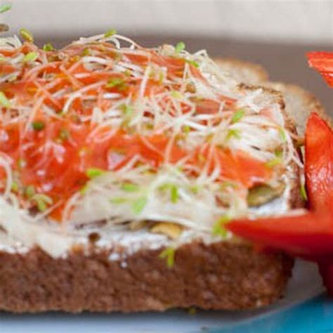 10 Best Alfalfa Sprouts Sandwich Recipes | Yummly