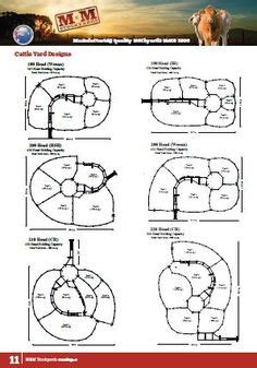 12 Cattle Yard Design ideas | cattle, cattle corrals, cattle facility