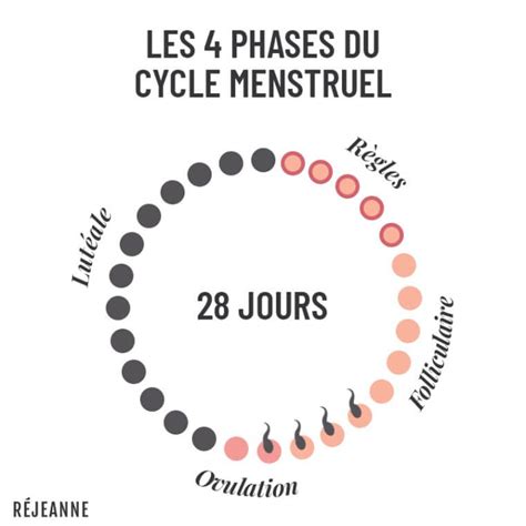 Cycle menstruel : calcul, durée, symptômes - Réjeanne