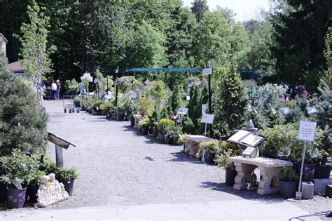 garden centre greens | Kingsway Greenhouse