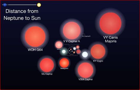 Largest Stars discovered..VY Canis Majoris is the largest known star ...