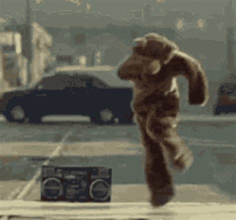 Bear GIF - Bear - Discover & Share GIFs