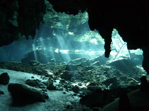 Cenote Diving in the Yucatan - Onwards and Upwards, by Nicholas Kellett