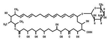 Nystatin Cream - FDA prescribing information, side effects and uses