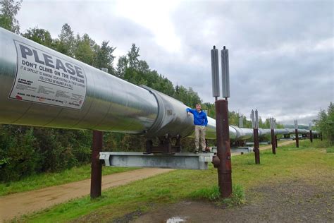 The great Alaskan Pipeline, wth ammonia heat pump radiator… | Flickr