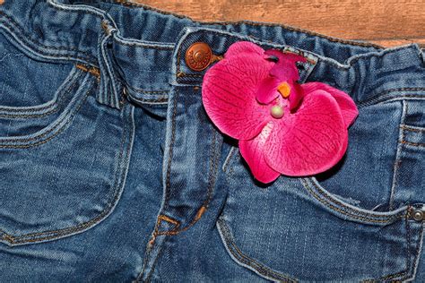 Free photo: Jeans, Pants, Clothing, Blue Jeans - Free Image on Pixabay - 564061