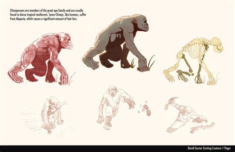 ape concept I did for a creature anatomy class