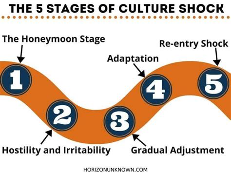 5 Stages of Culture Shock - Learn the Different Stages of Cultural Shock