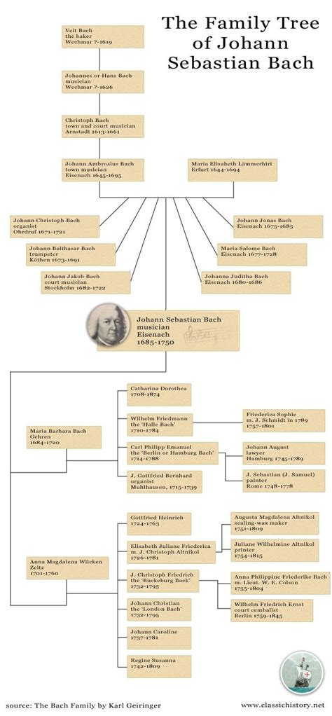 J. S. Bach Family Tree | Family tree, Bach, Sebastian bach