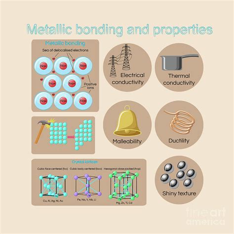 Physical Properties Of Metals And Alloys Photograph by Inna Bigun ...