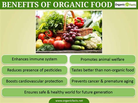 The Benefits Of Organic Food: Exploring The Scientific Evidence For Health And Environmental ...