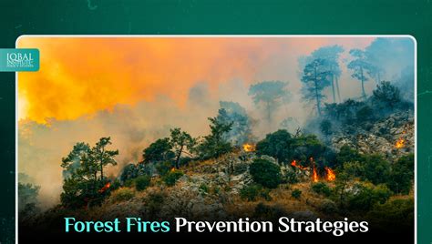 Forest Fires Prevention Strategies - IIPS