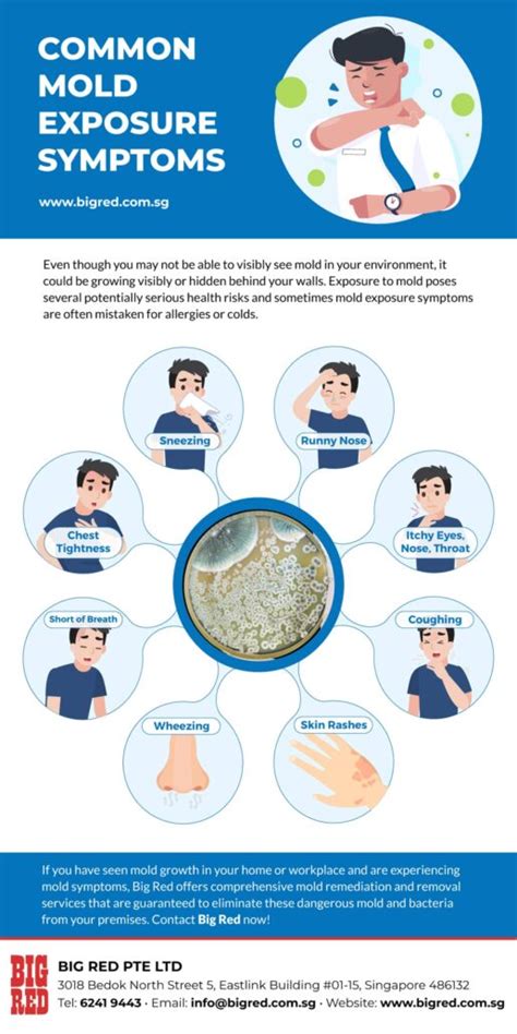 Common Mold Exposure Symptoms - Big Red Singapore