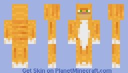 Orange Cat Minecraft Skin