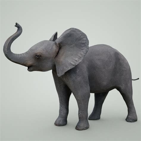 Baby Elephant 3D Model