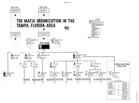 Tampa hierarchy early 1960s