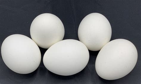 Eggs - How Long Do Eggs Last? Shelf Life, Storage, Expiration