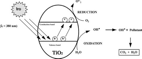 General mechanism of the photocatalysis. | Download Scientific Diagram