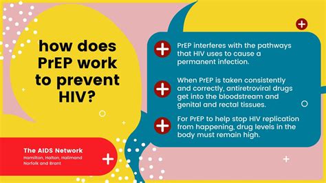 Pre-exposure prophylaxis (PrEP) - AIDS Network