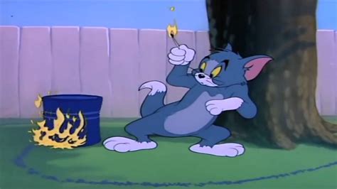 Tom and jerry episodes full episodes old - hrombirthday