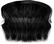 HAIR PNG Clipart Free Images