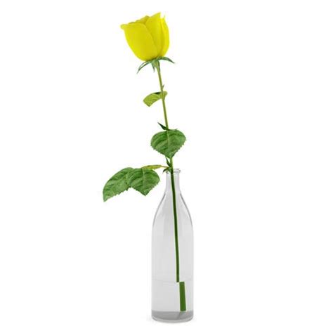 Single Yellow Rose Delivery at Send Flowers