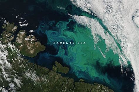 Phytoplankton blooms hint at changing Arctic waters | Nunatsiaq News