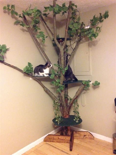 cat tree project | Diy cat tree, Cat room diy, Cat tree house