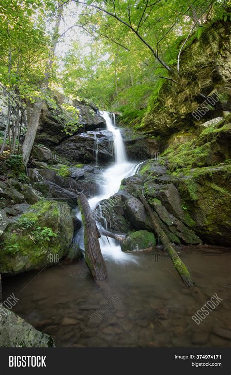 Lush Forest Along Image & Photo (Free Trial) | Bigstock