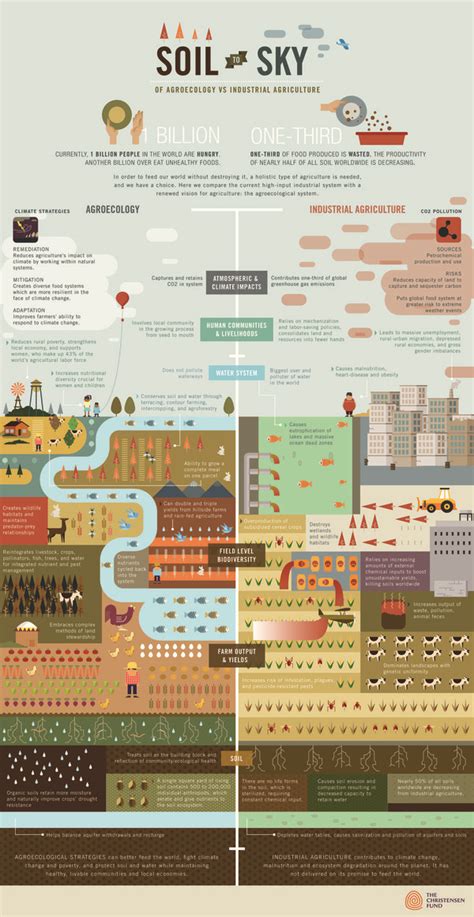 GRAIN | Soil to sky: agroecology vs. industrial agriculture