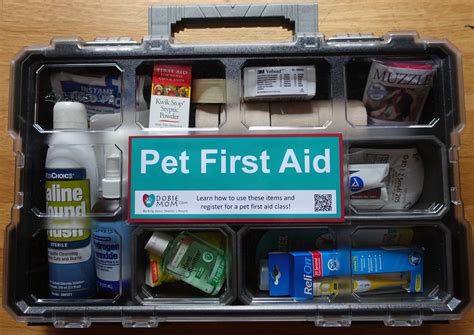 First Aid Kit for pets