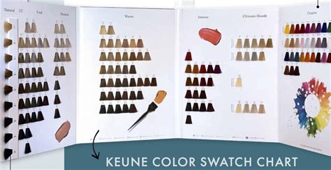 KEUNE- Color Swatch Chart | Salon Accessories