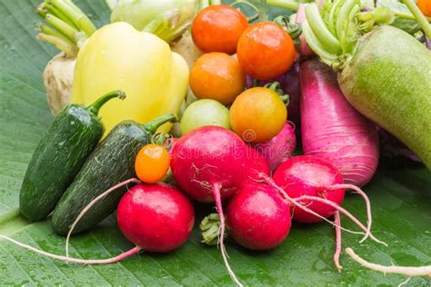 Colorful Vegetables stock image. Image of coloured, leaf - 70841711