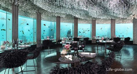 Underwater restaurants in the Maldives. Hotels with underwater restaurants Maldives