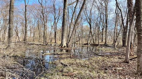 Algonkian Regional Park: A Wooded River Hike in Sterling, VA