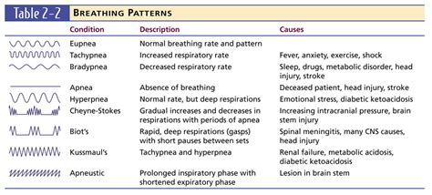 Breathing Patterns RCP 100 Diagram | Quizlet