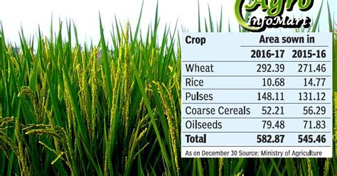 Agro Infomart: list of kharif and rabi crops agriculture in india