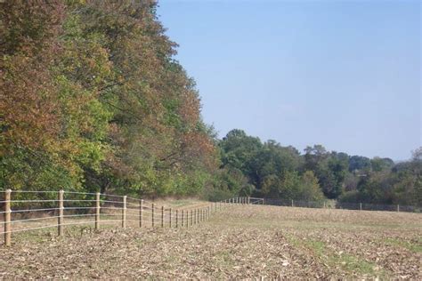 The Horse Fence Options you need! - ProFence LLC | Your Fencing Experts