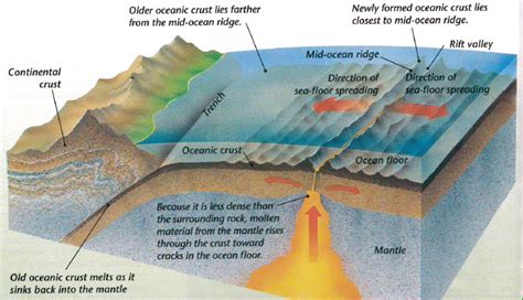 Sea Floor Spreading - From Continental Drift to the Theory of Plate Tectonics