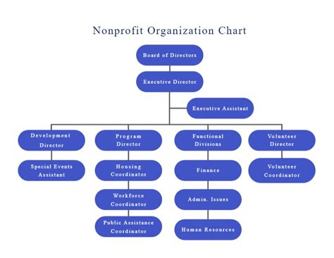 organizational chart for nonprofit Nonprofit organizational chart examples templates edrawmax