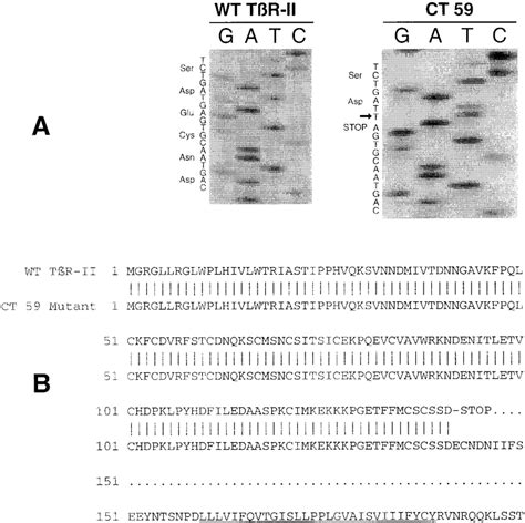 Nonsense mutation in 5' half of TR-II gene. (a) Partial DNA sequence of ...