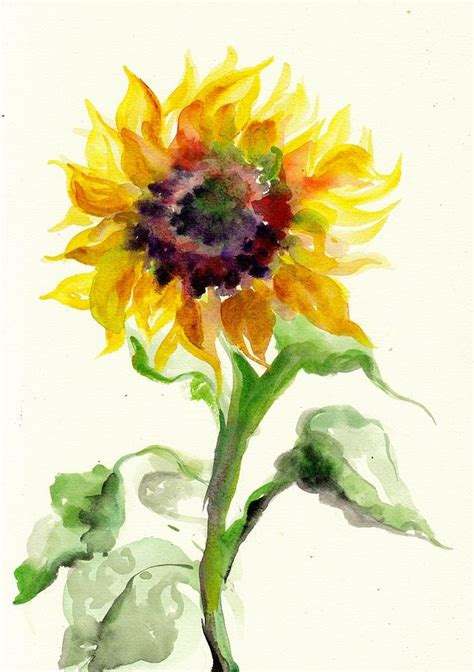 Sunflower Watercolor at GetDrawings | Free download