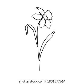 Vector Isolated One Line Simple Narcissus Stock Vector (Royalty Free) 1931577614 | Shutterstock