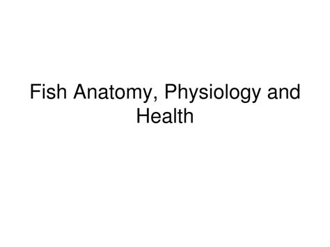 PPT - Fish Anatomy, Physiology and Health PowerPoint Presentation, free download - ID:629827