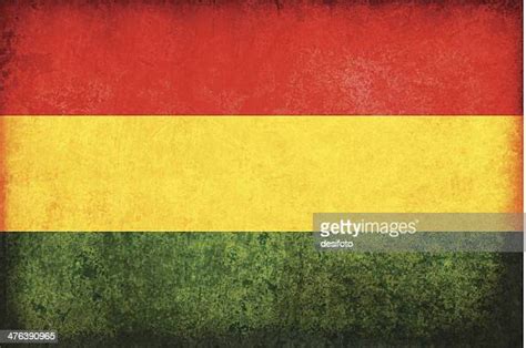 244 Bolivia Flag Colors Stock Photos, High-Res Pictures, and Images ...