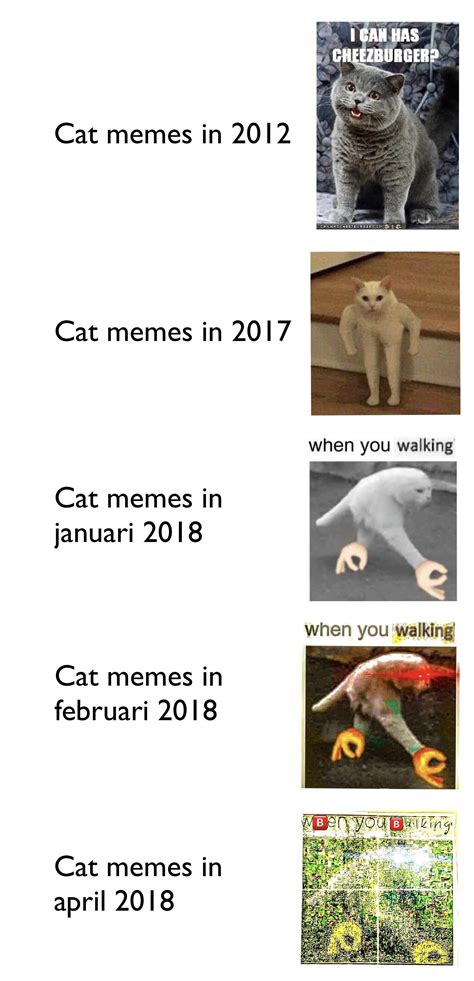 Can't wait for the cat memes in 2019