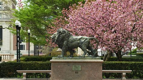 In Like a Lion? | Columbia News