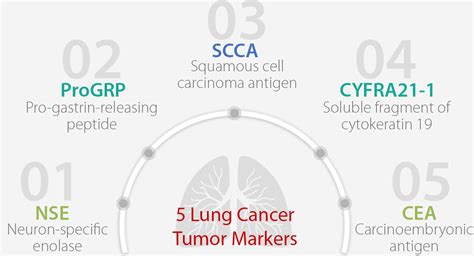 The 5 Tumor Markers You Must Know About Lung Cancer - Mindray