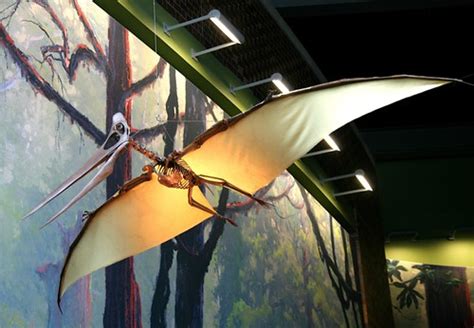 Paleo Exhibit Review 1: Children’s Museum of Indianapolis | EXTINCT ...