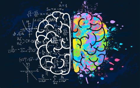 Ni la creatividad está a la derecha ni la lógica a la izquierda: el neuromito de los hemisferios ...